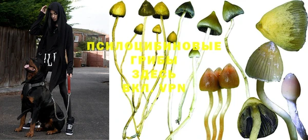 каннабис Богданович