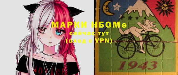 хмурый Богородск